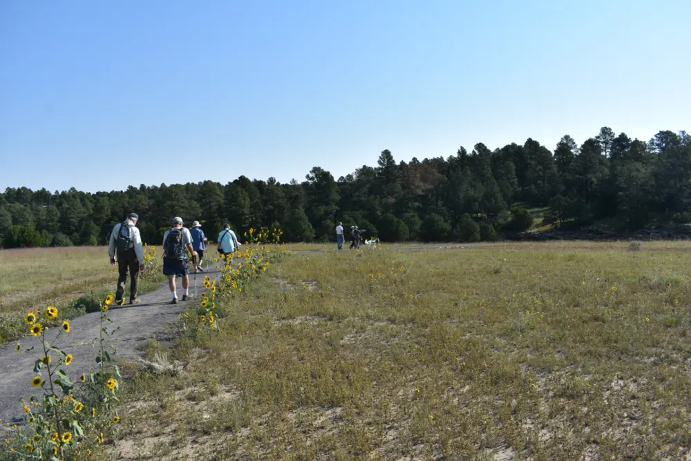 Caminantes por un sendero en un prado
