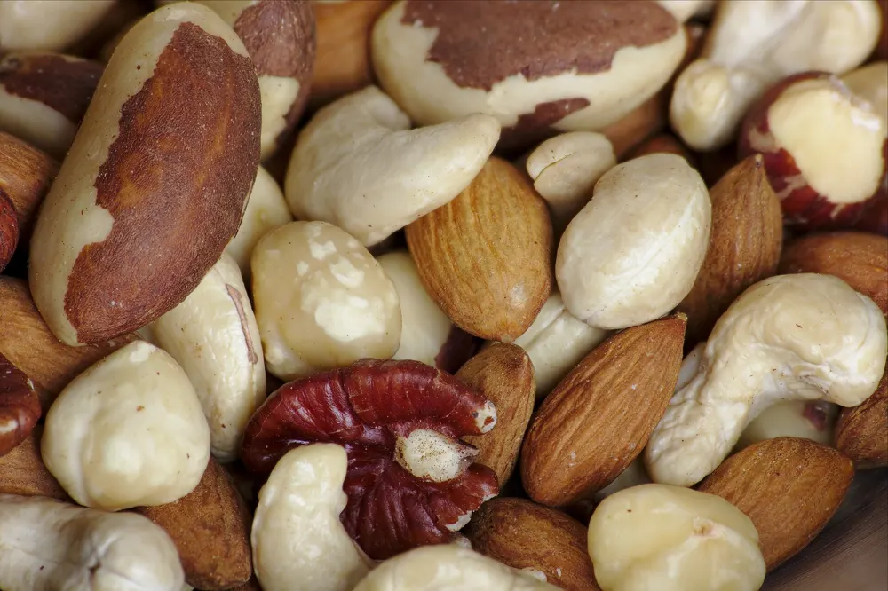 Frutos secos variados: almendras, avellanas, nueces de Brasil