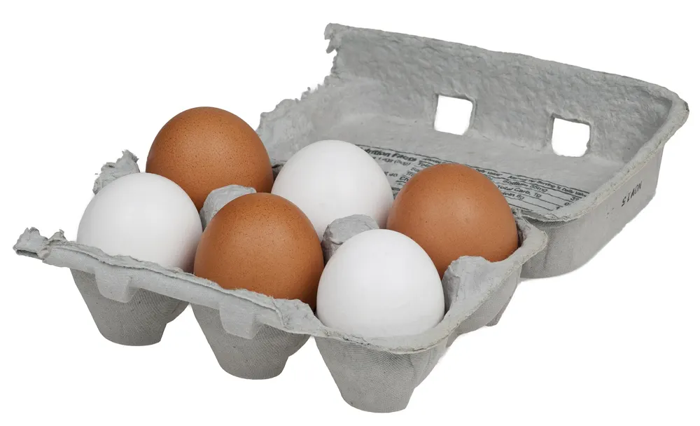 Huevos blancos y morenos en su huevera