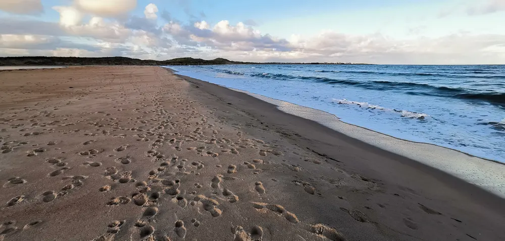 Huellas de pasos en la arena de una playa